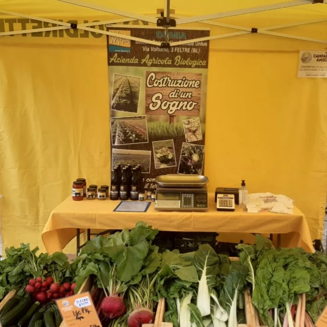 Fattoria Sociale Dumia vendita verdura