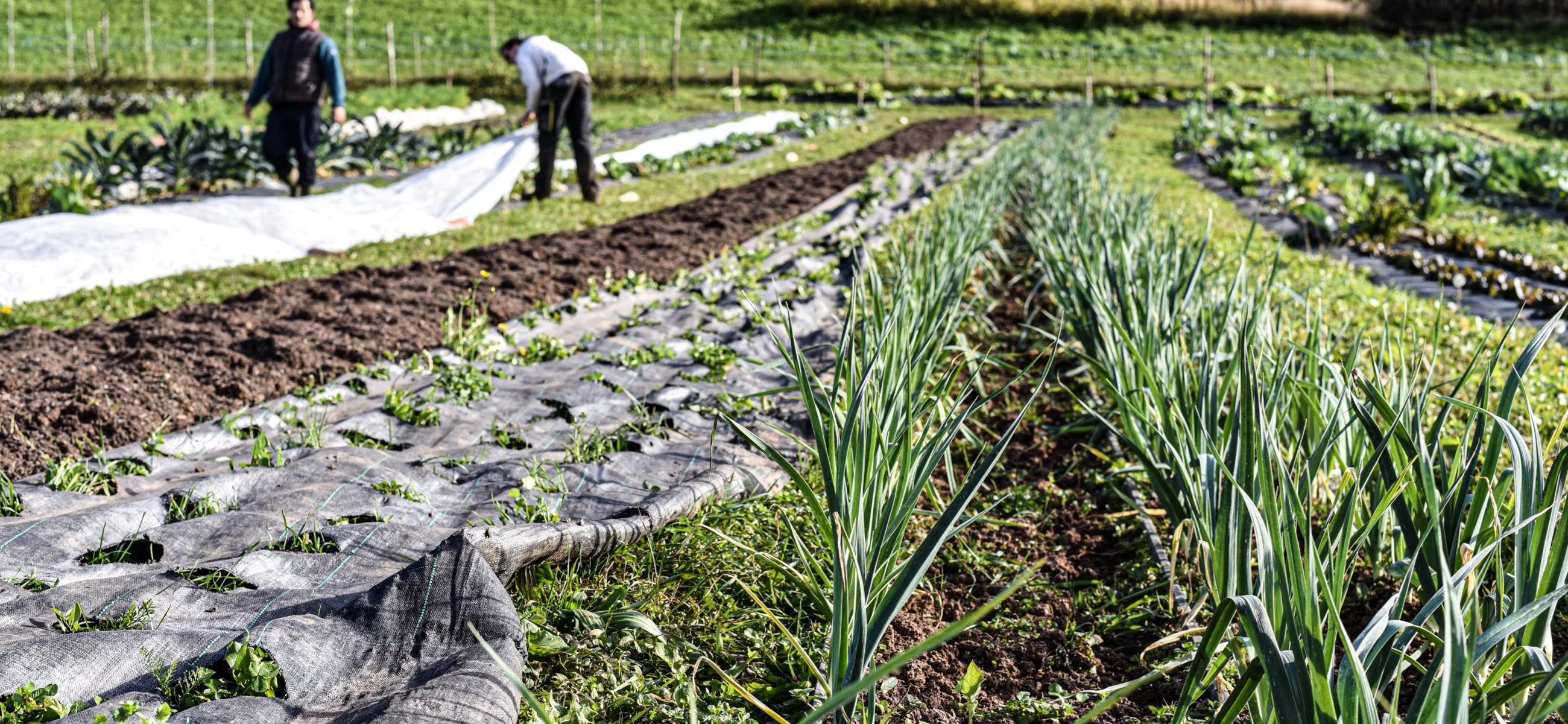 Fattoria Sociale Dumia