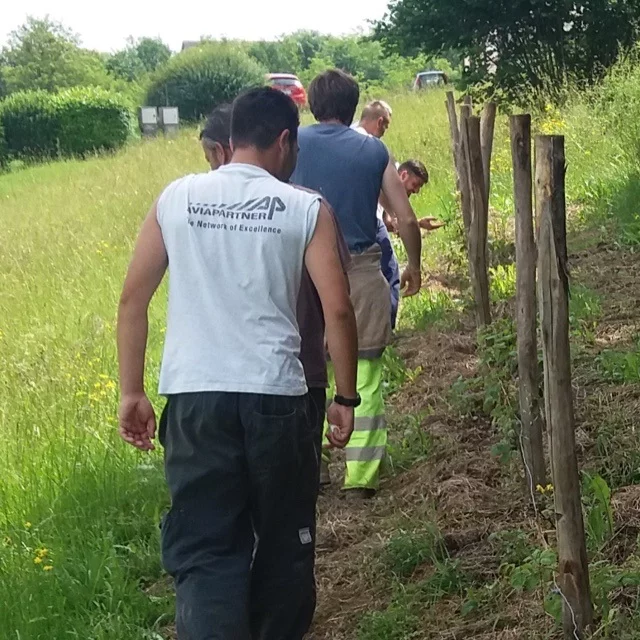 Lavoro orto