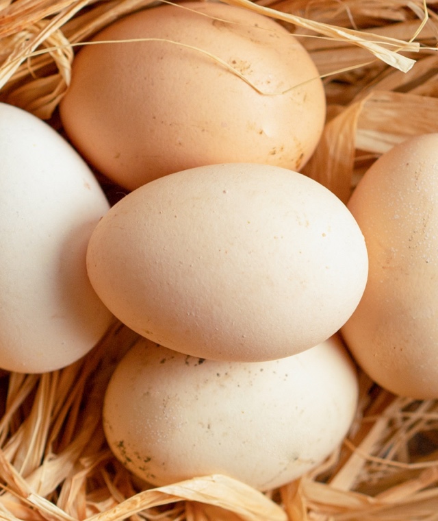 Uova e insaccati naturali