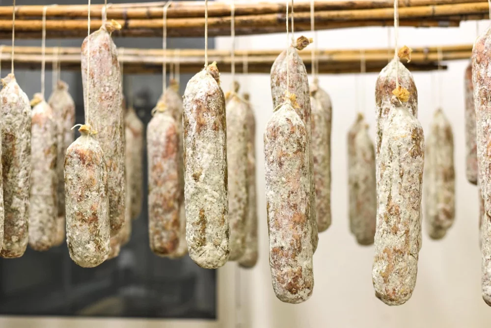 Salami