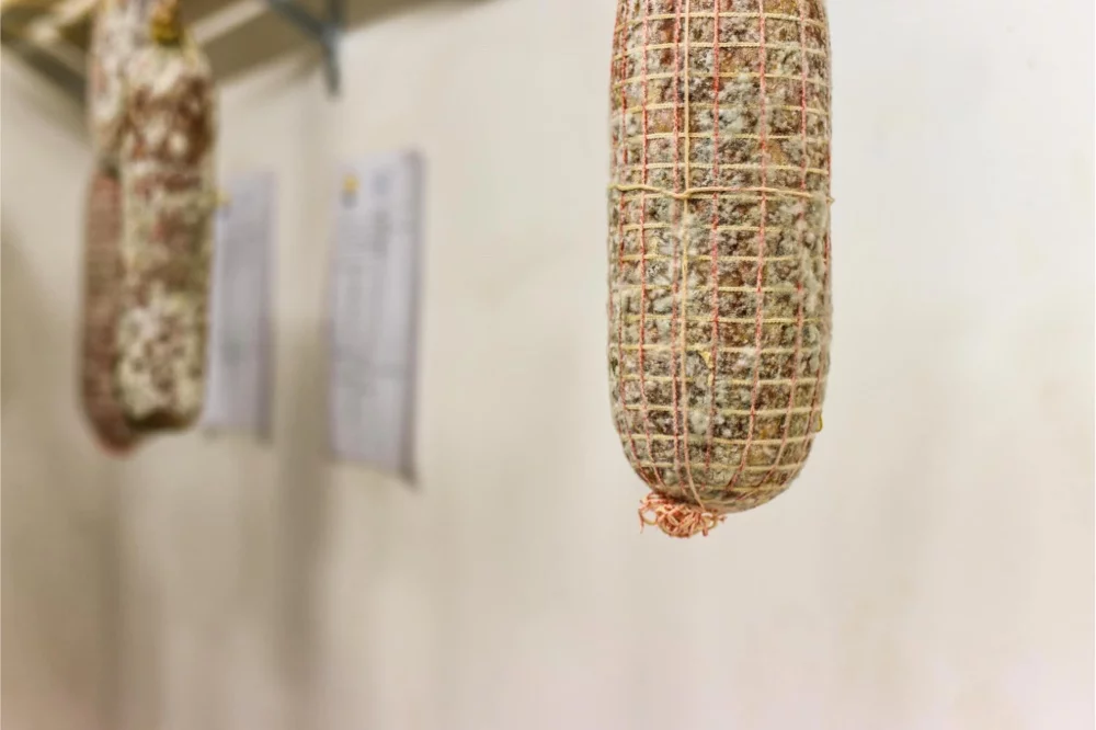 Salami