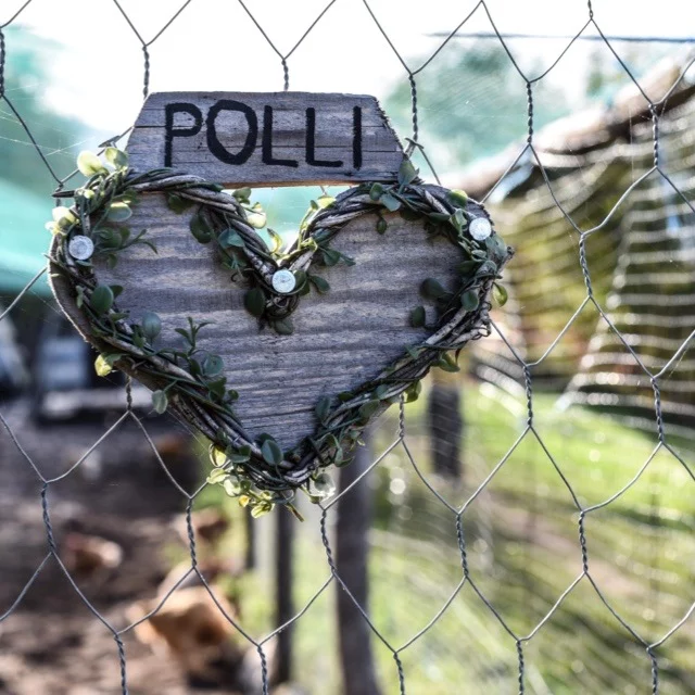 Polli