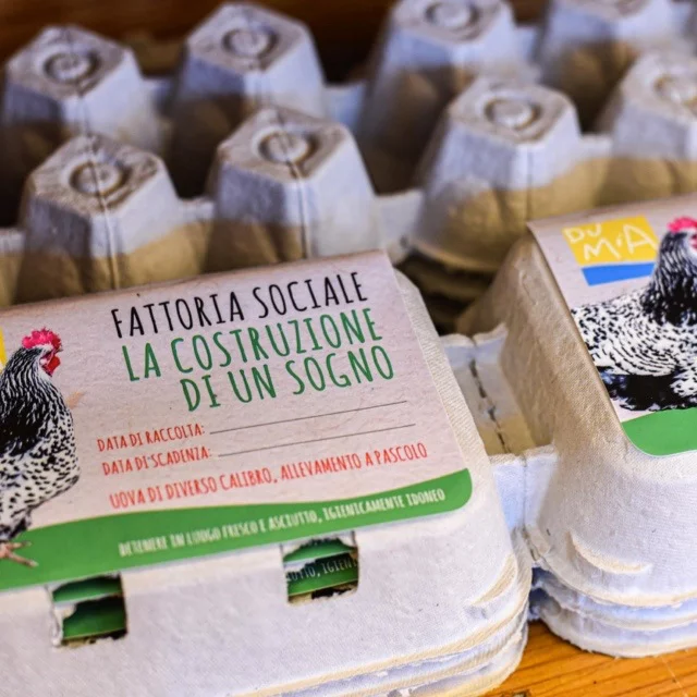 Uova da galline allevate a pascolo