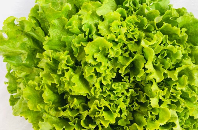 INSALATA GENTILE