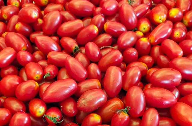 POMODORI DATTERINI