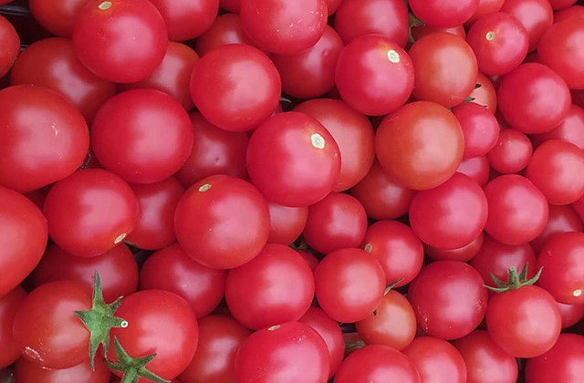 POMODORI CILIEGINI ROSSI