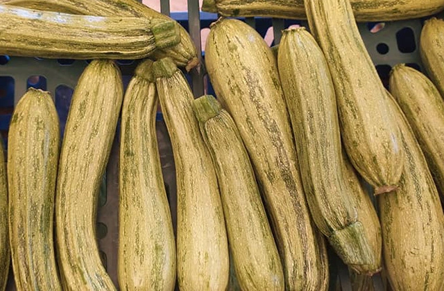 ZUCCHINE VERDE CHIARO ORTANO